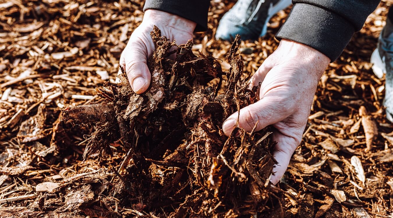 長野・佐久地域の針葉樹と広葉樹の樹皮から作ったバーク堆肥